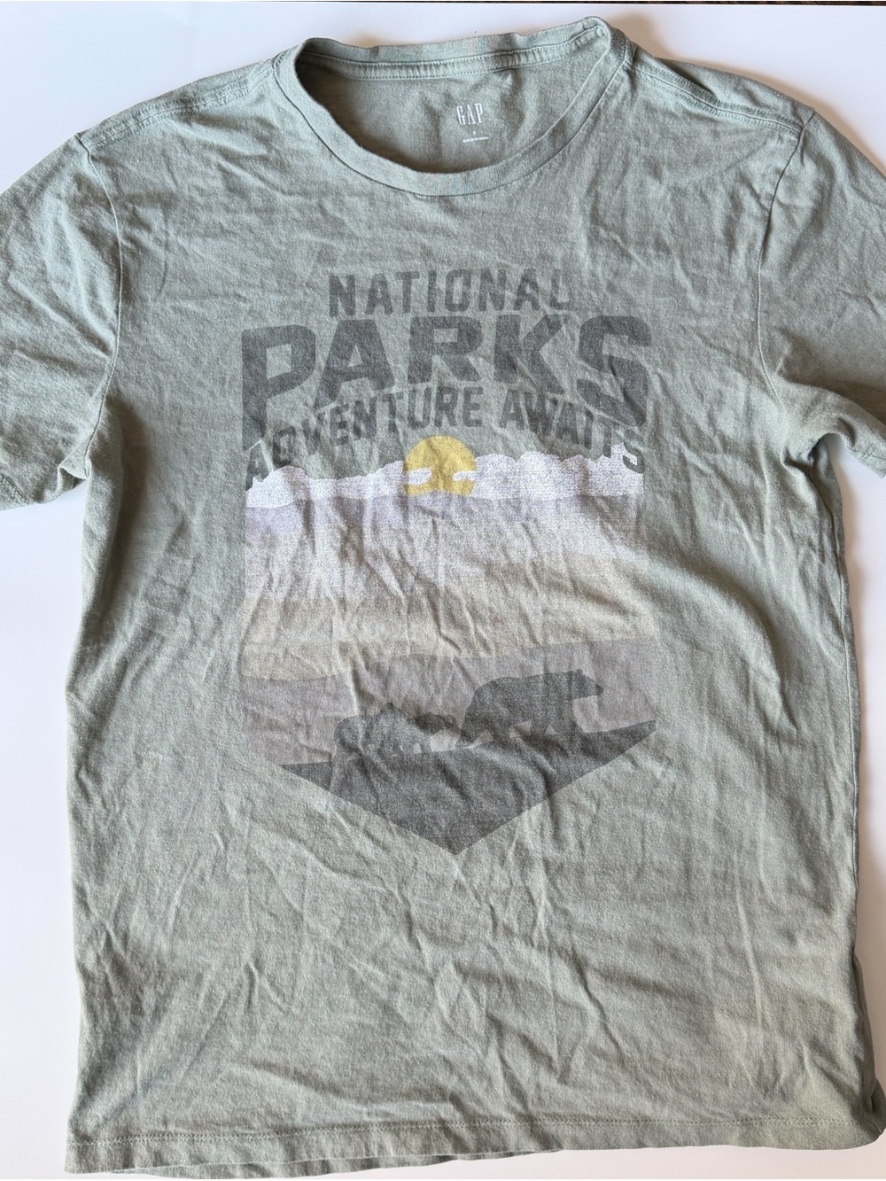 Gap Sage 'National Parks' Graphic Tee